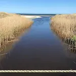 4 Star Holiday Home In Albaek Ålbæk