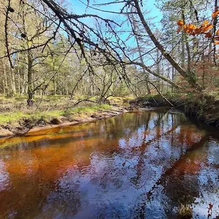 Seaside Serenity At Knasborg Beach-by Traum * Ålbæk