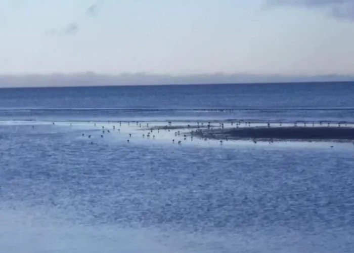 Seaside Serenity At Knasborg Beach-by Traum Ålbæk