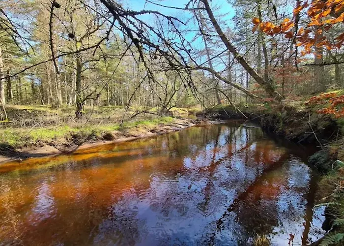 Seaside Serenity At Knasborg Beach-by Traum * Ålbæk
