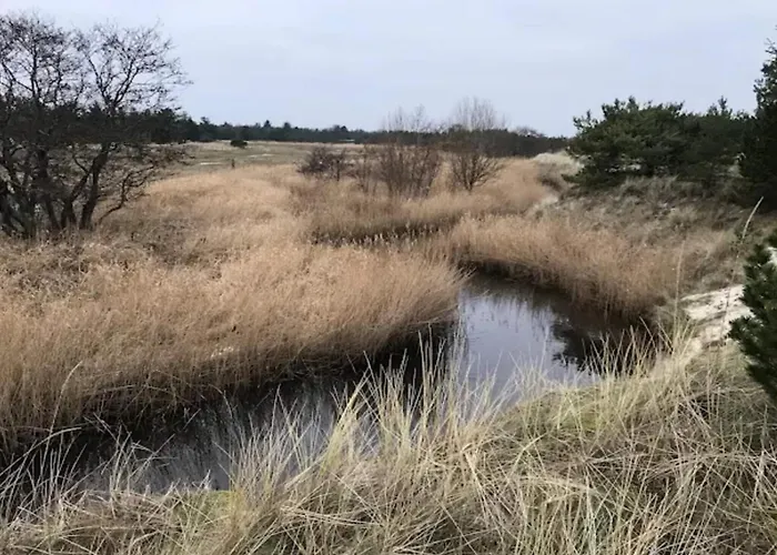 Seaside Serenity At Knasborg Beach-by Traum Σπίτι διακοπών Ålbæk